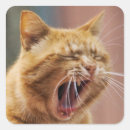 Search for nature animal stickers Yawning