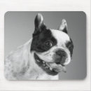 Search for frenchies mousepads Puppies