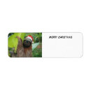 Search for rain return address labels Animal