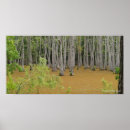 Search for swamps posters Trees