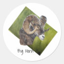 Search for big horn stickers Wildlife