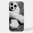Search for longhair electronics Animal