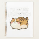 Search for funny cat meme office supplies Kitty