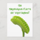 Search for vegetarian humour postcards Funny