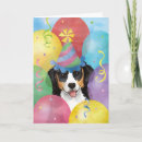 Search for cattle dog birthday cards Puppy