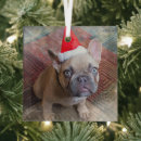 Search for french bulldog christmas tree decorations Canine