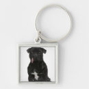 Search for tongue key rings Studio shot