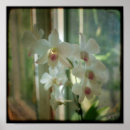 Search for original artwork posters Flower