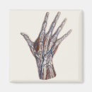 Search for finger magnets Antique