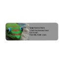 Search for gecko return address labels Nature