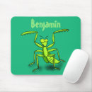 Search for praying mantis electronics Bug