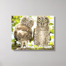 Search for owl pics canvas prints Ornithology