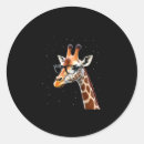 Search for hipster stickers Giraffe