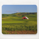 Search for idaho mousepads Scene