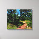 Search for trail canvas prints Sky