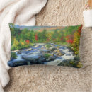 Search for boulder cushions Jaynes gallery