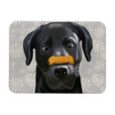 Search for black labrador gifts Flowers