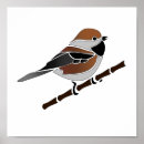 Search for perching bird posters Chickadee