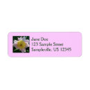 Search for peonies return address labels Pink peony