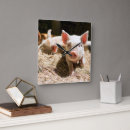 Search for piglet clocks Farm animal
