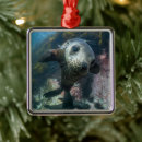 Search for baby seal christmas tree decorations Ocean
