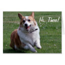 Search for herding photography Dog