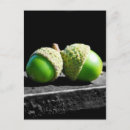 Search for forever postcards Together