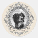 Search for grey silver stickers Modern