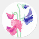 Search for sweet pea flowers stickers Pink