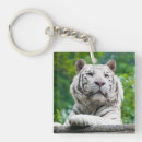 Search for tiger square key rings White