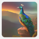 Search for beautiful peacock stickers Nature