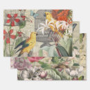 Search for nostalgic wrapping paper Doodlefly