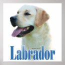 Search for dog breed posters Retriever