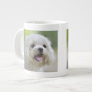 Search for maltese mugs Pets