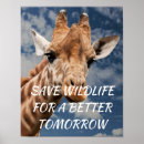 Search for blue giraffe posters Wildlife