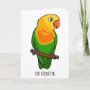 Search for conures cards Parakeet