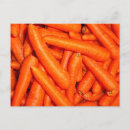 Search for carrot postcards Orange