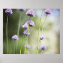 Search for drink up posters Food and drink