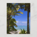 Search for palm postcards Cook islands