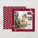 Search for pet dog christmas cards Red