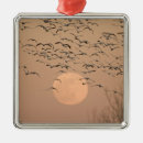 Search for geese christmas tree decorations Animal