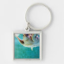 Search for sea turtle square key rings Wildlife