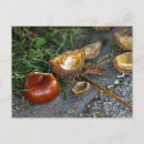 Search for chestnut postcards Autumn