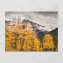 Search for alpine loop Cloud