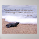 Search for turtle quotes posters Ocean