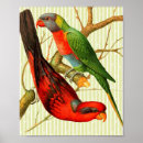 Search for parrot lover posters Green
