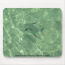 Search for release electronics Nature