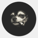 Search for smoke free stickers Funny content free