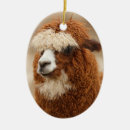 Search for alpaca christmas tree decorations Cute