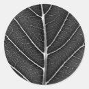 Search for leaf veins stickers Nature